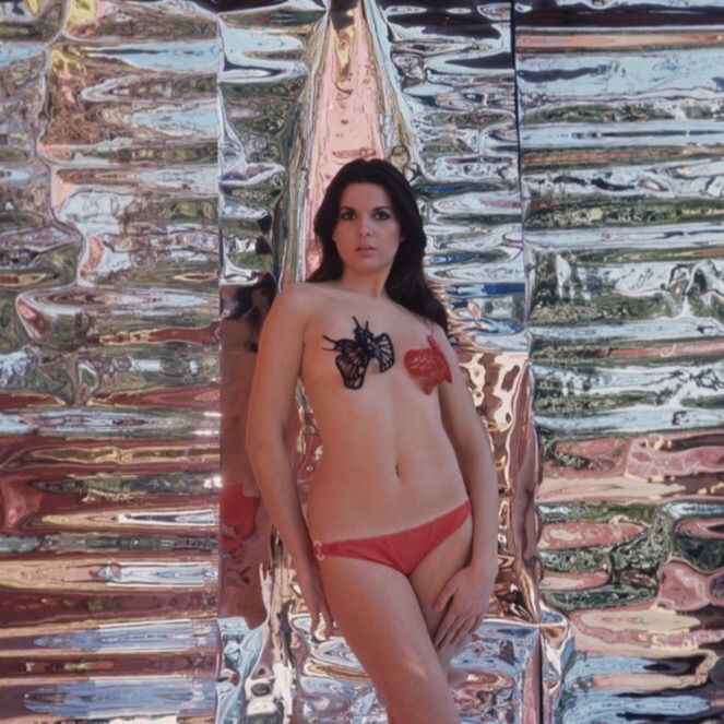 Picture of Simonetta Stefanelli