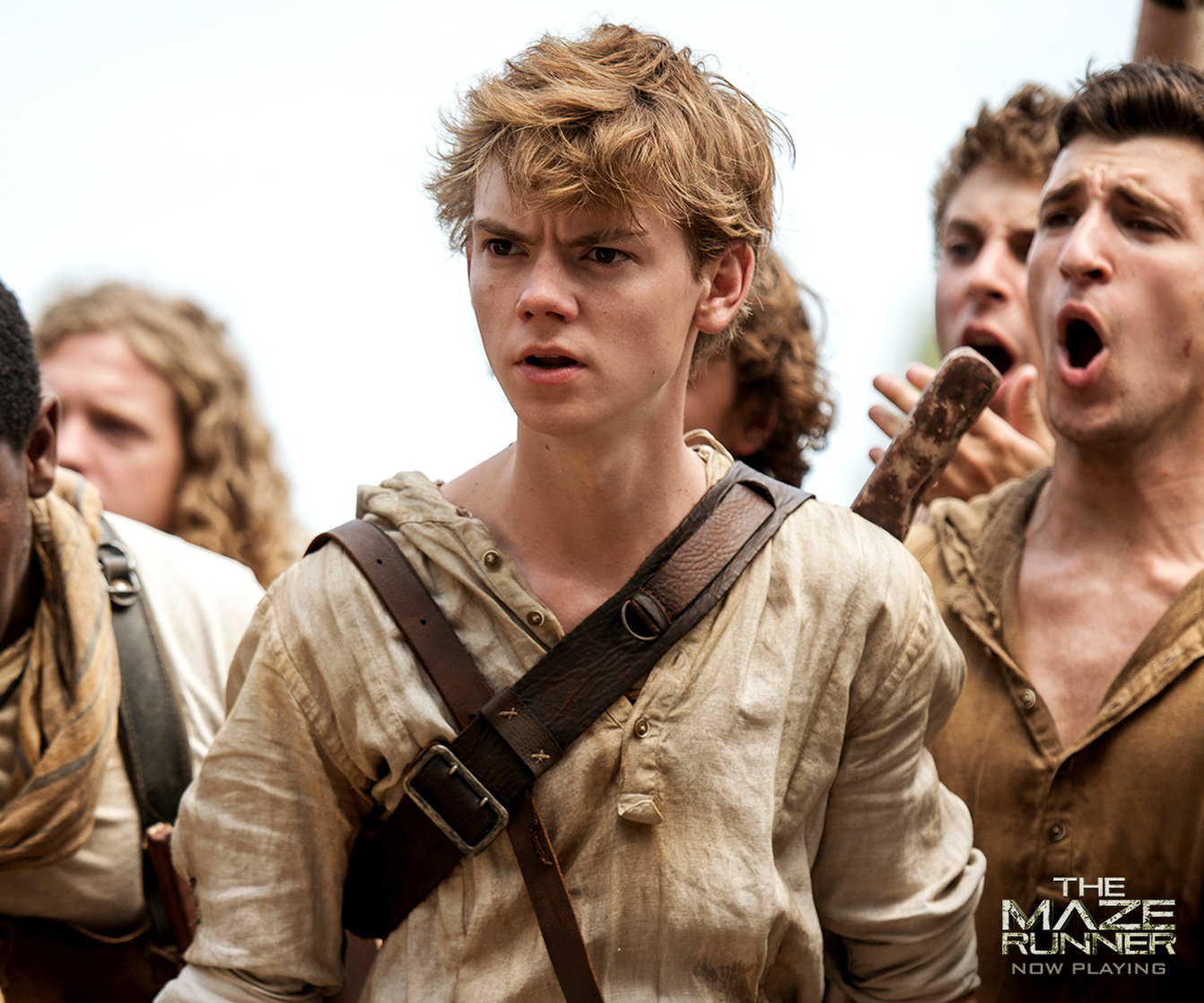 Newt