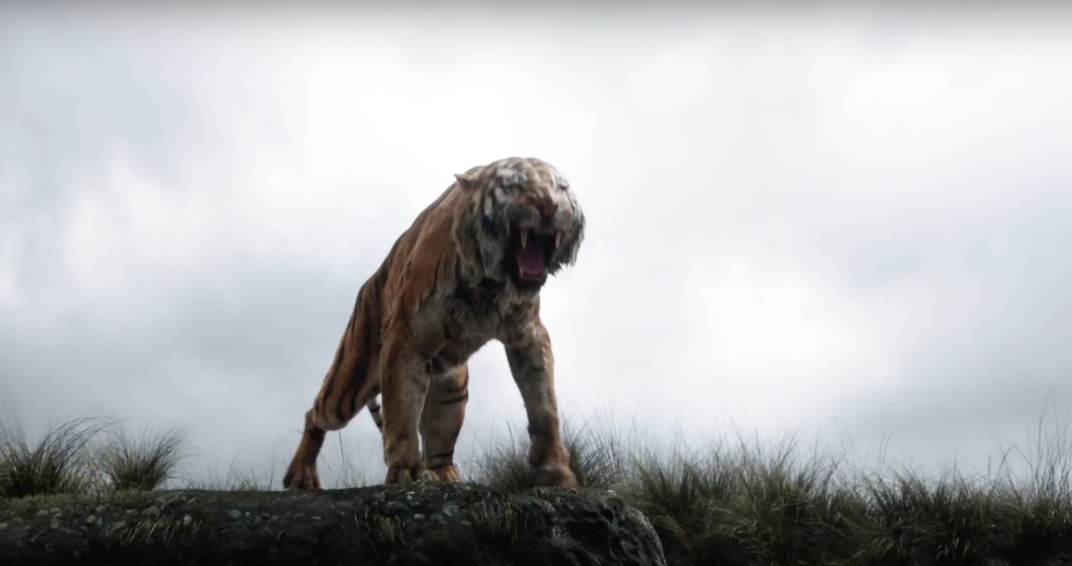 The Jungle Book The Jungle Book
