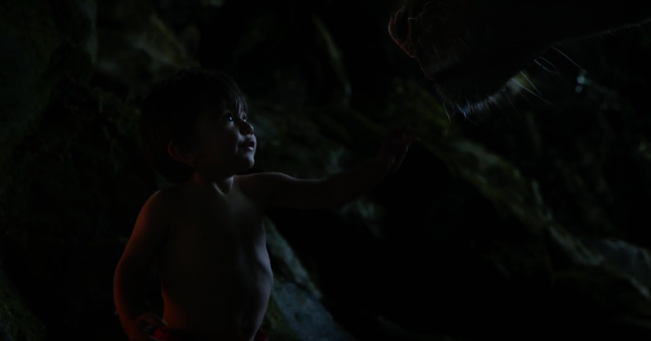 The Jungle Book The Jungle Book