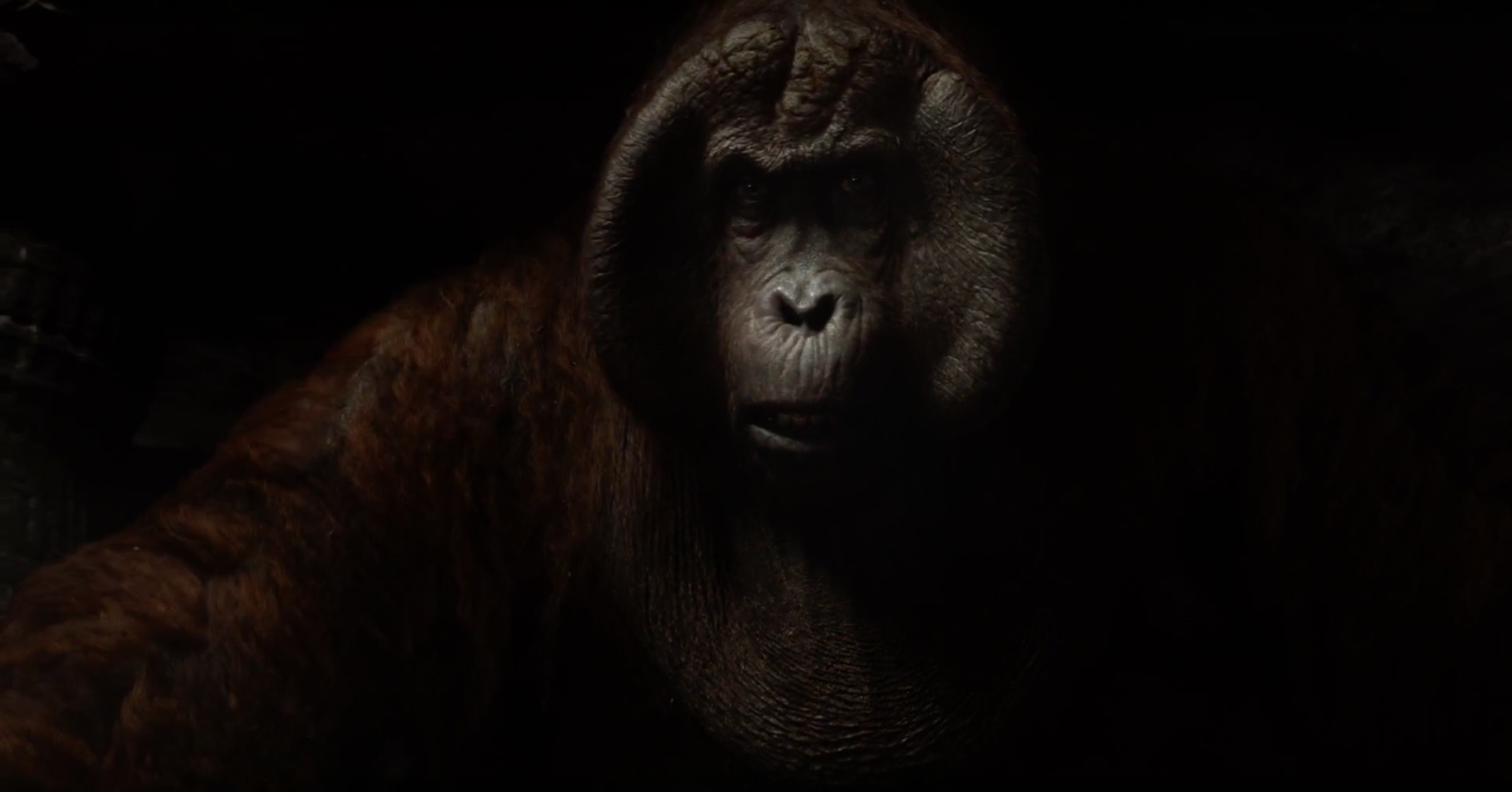 The Jungle Book The Jungle Book