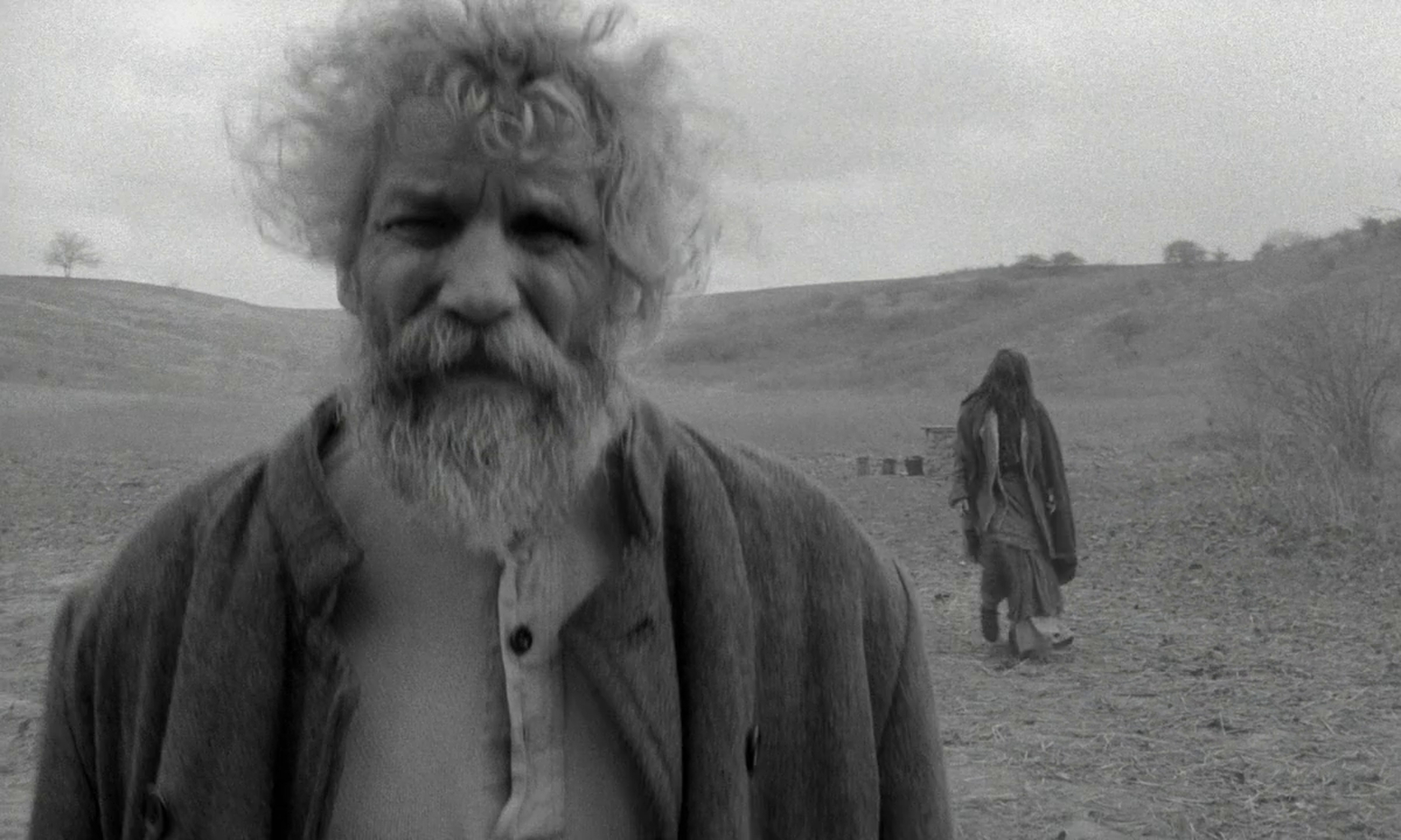 The Turin Horse (2011)