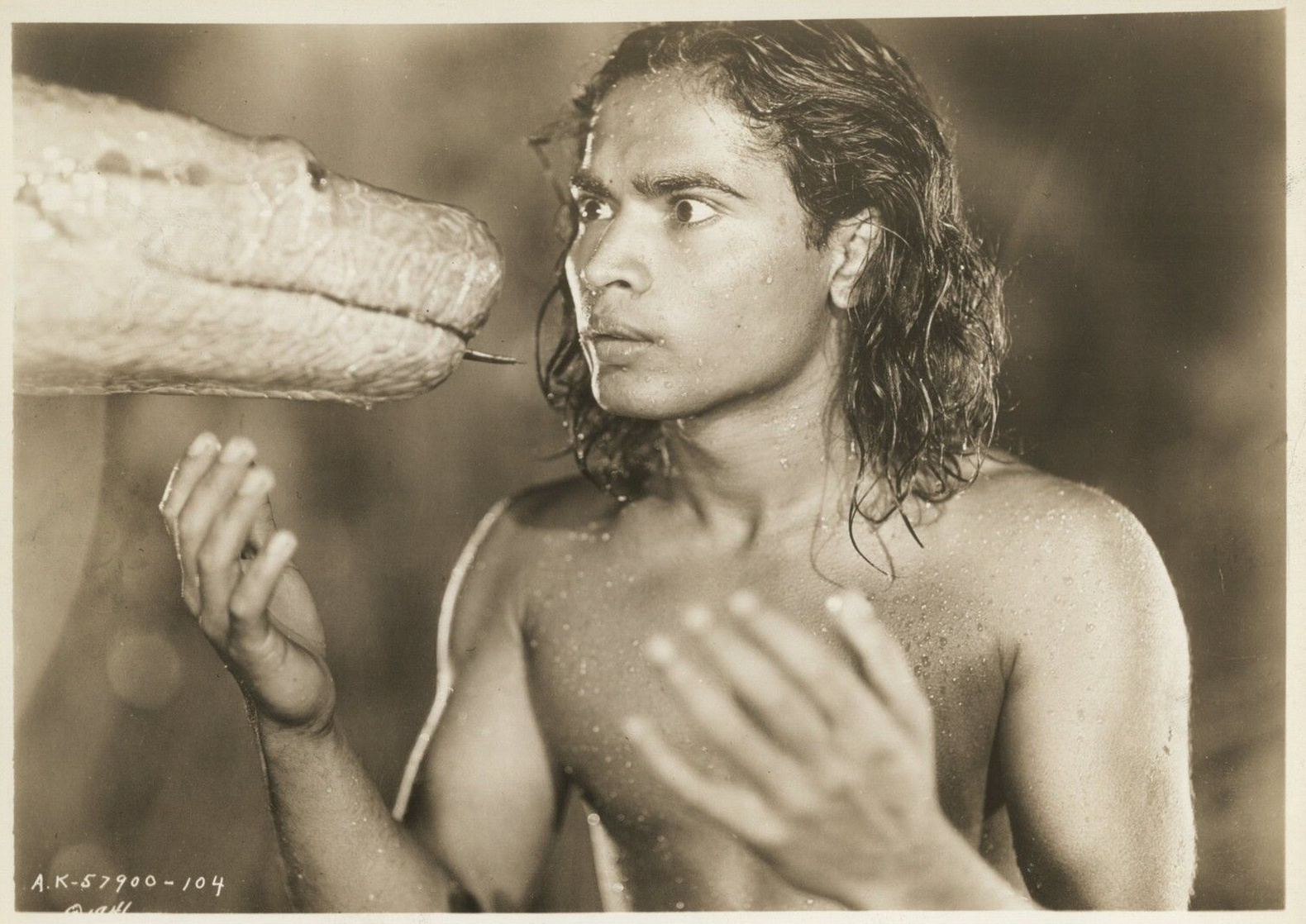 The Jungle Book The Jungle Book