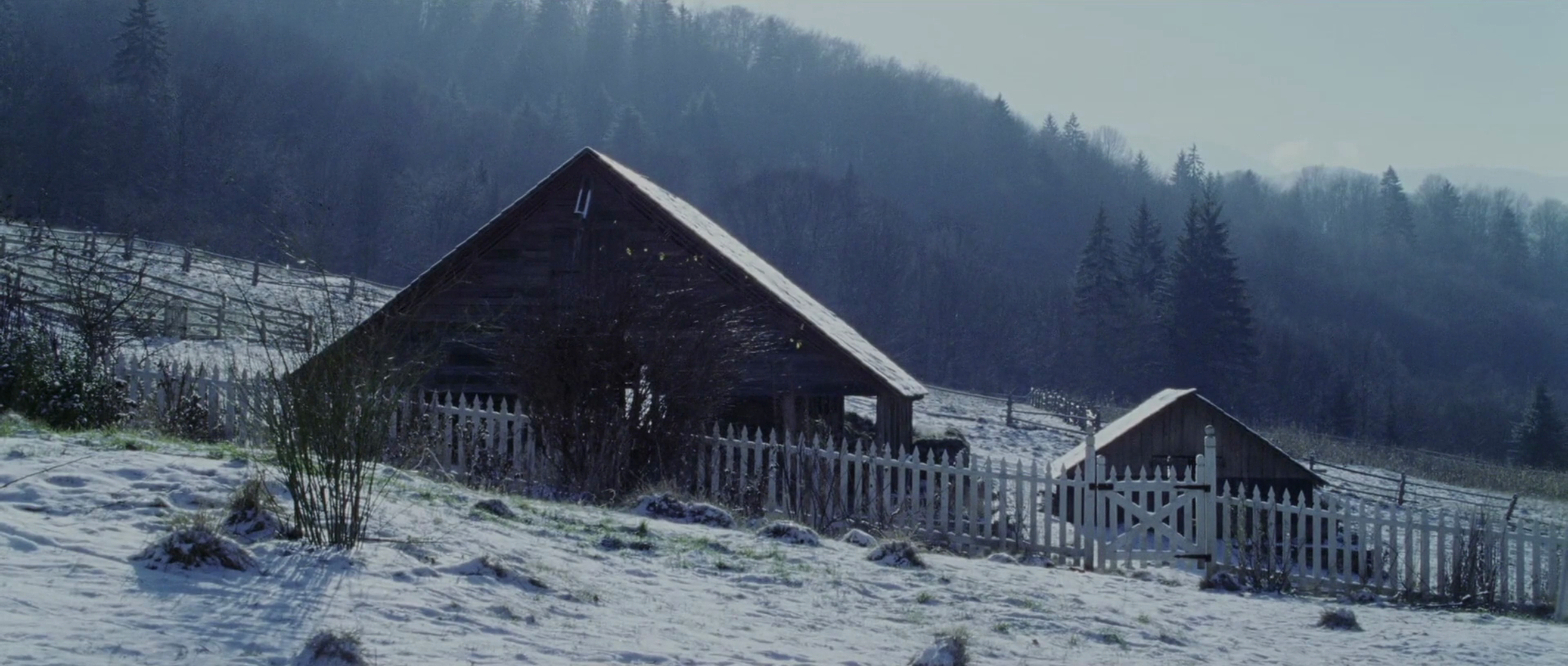 Cold Mountain