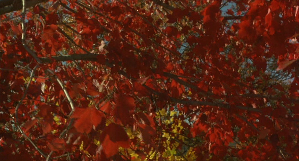 Far from Heaven (2002)