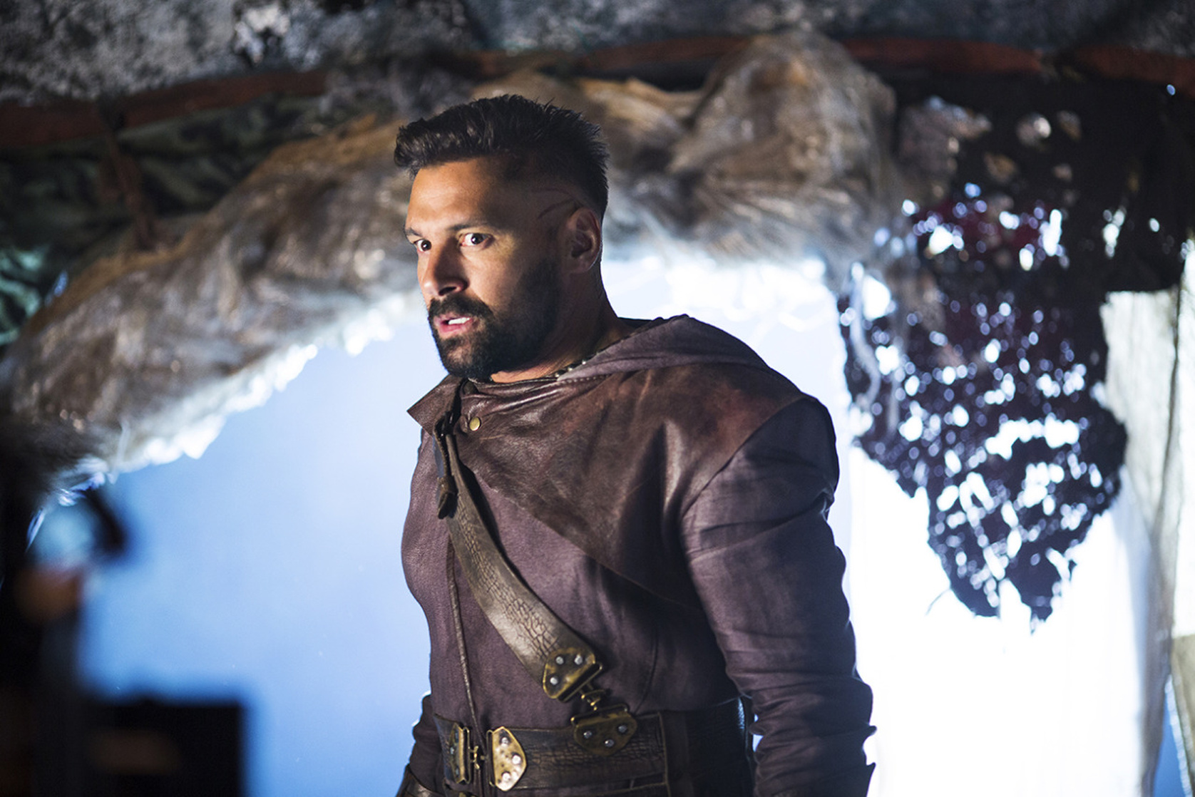 The Shannara Chronicles