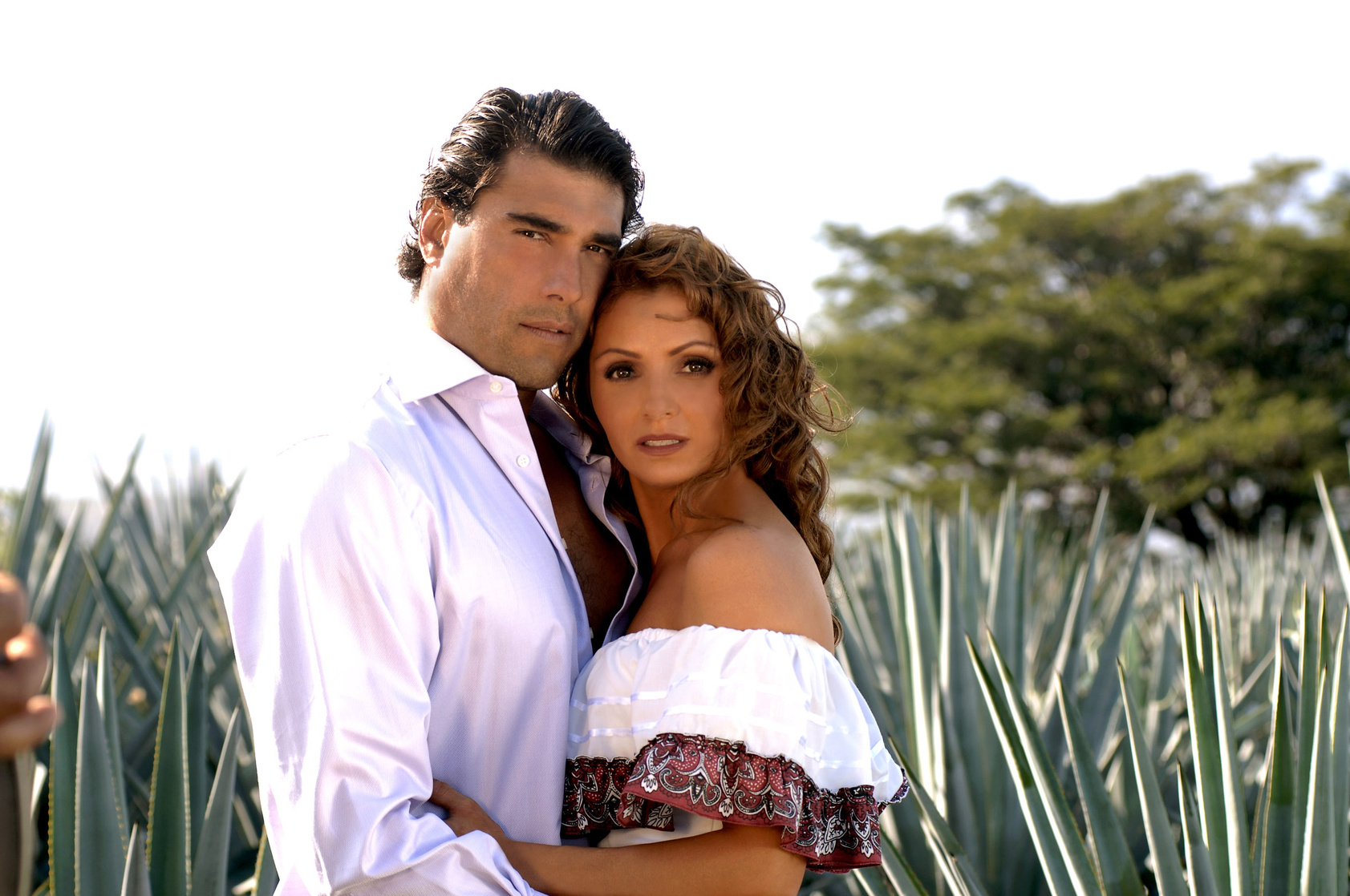 Potro del amor imagen