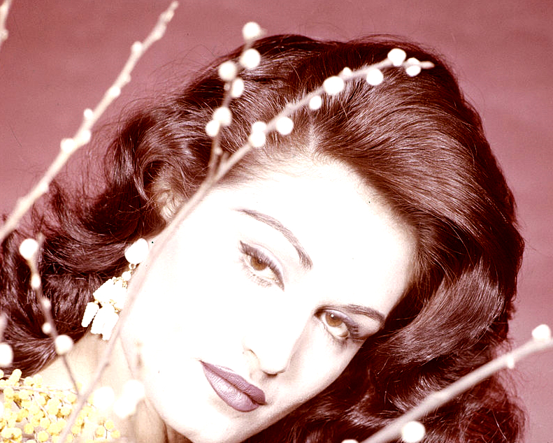 Dalida Dalida