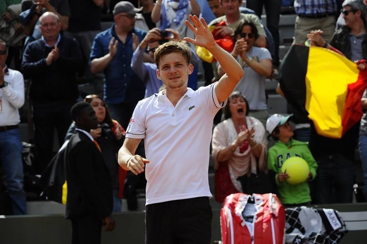 David Goffin image