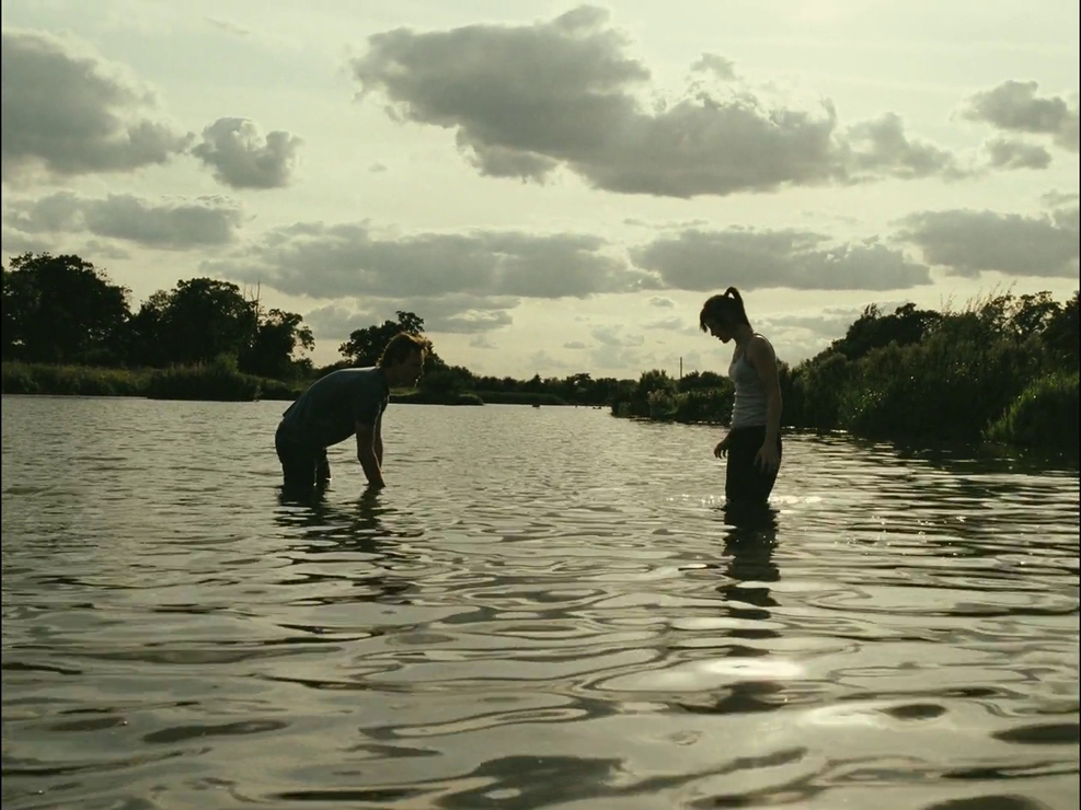 Picture of Fish Tank