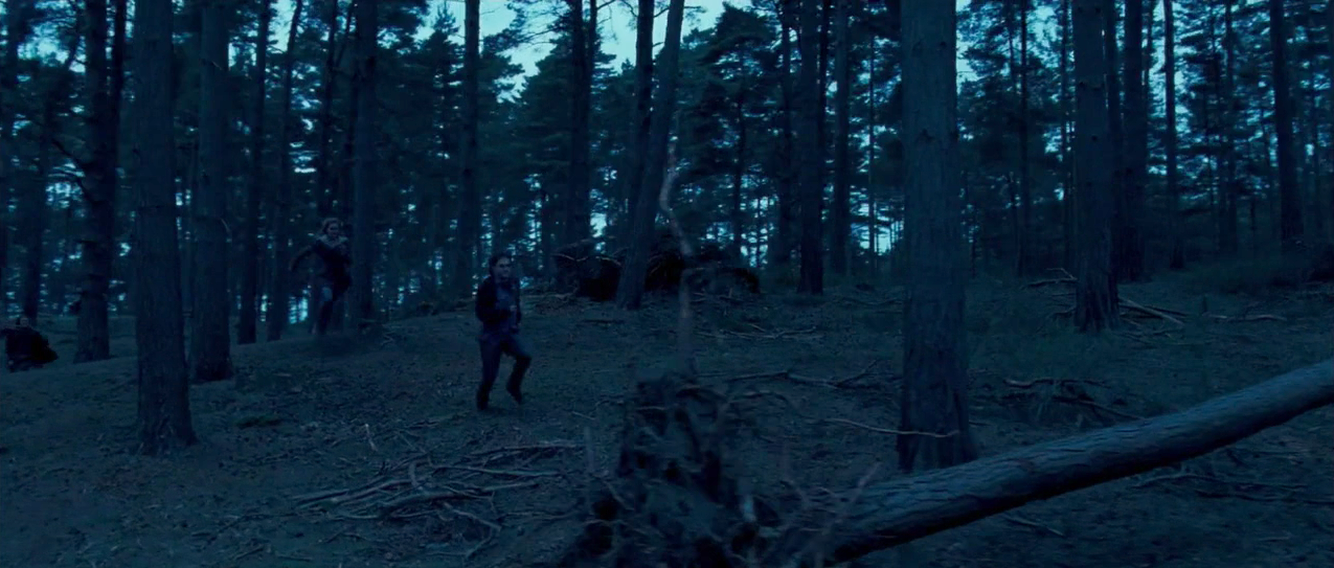 Harry Potter and the Deathly Hallows: Part 1
