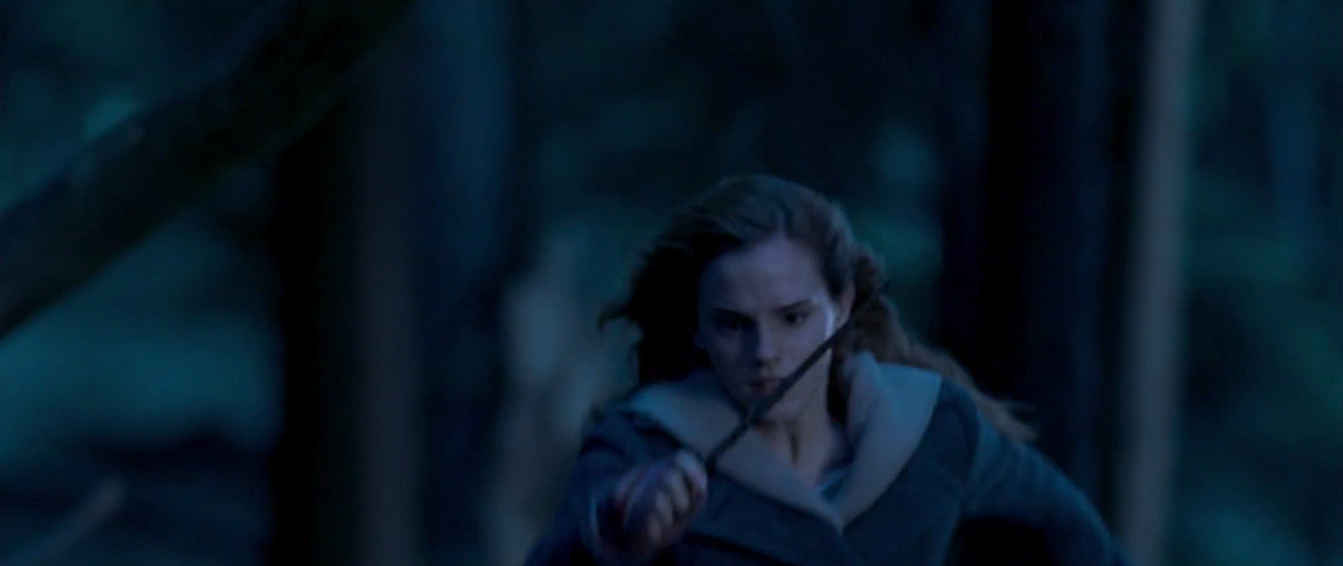 Harry Potter and the Deathly Hallows: Part 1