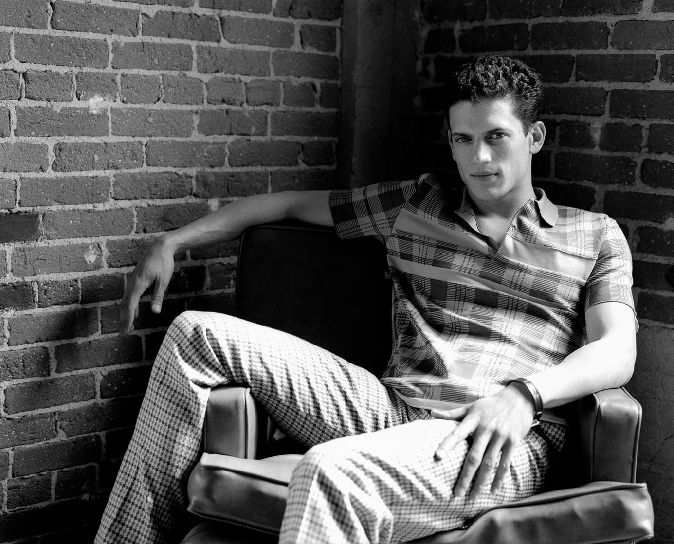 Picture of Wentworth Miller