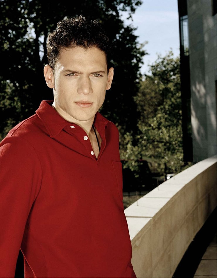 Picture of Wentworth Miller