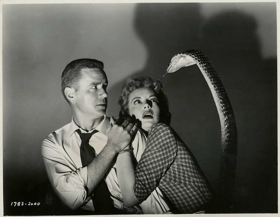 Cult of the Cobra
