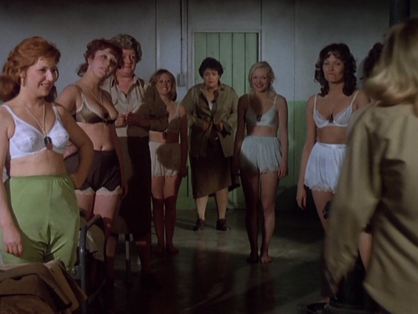 Picture of Carry on England