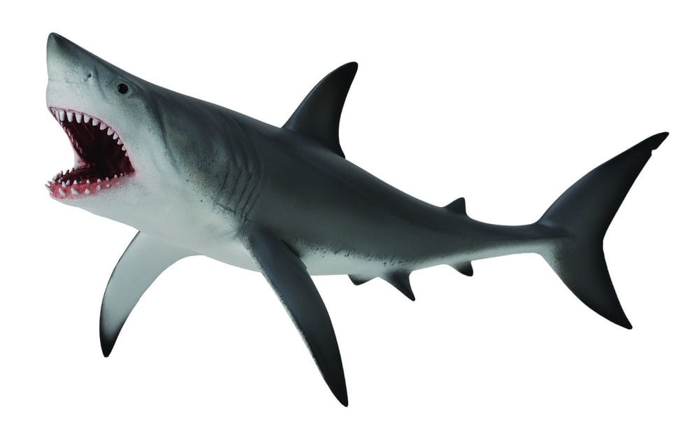 Collect A Sea Life Great Open Jaw White Shark Collect A Sea Life Great Open Jaw White Shark