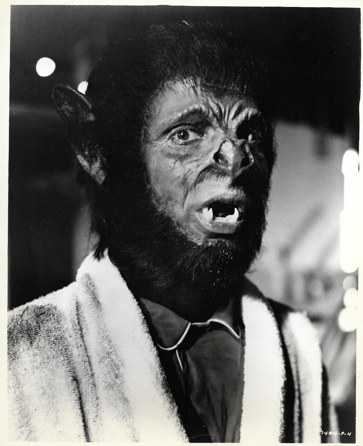 The Bat People picture