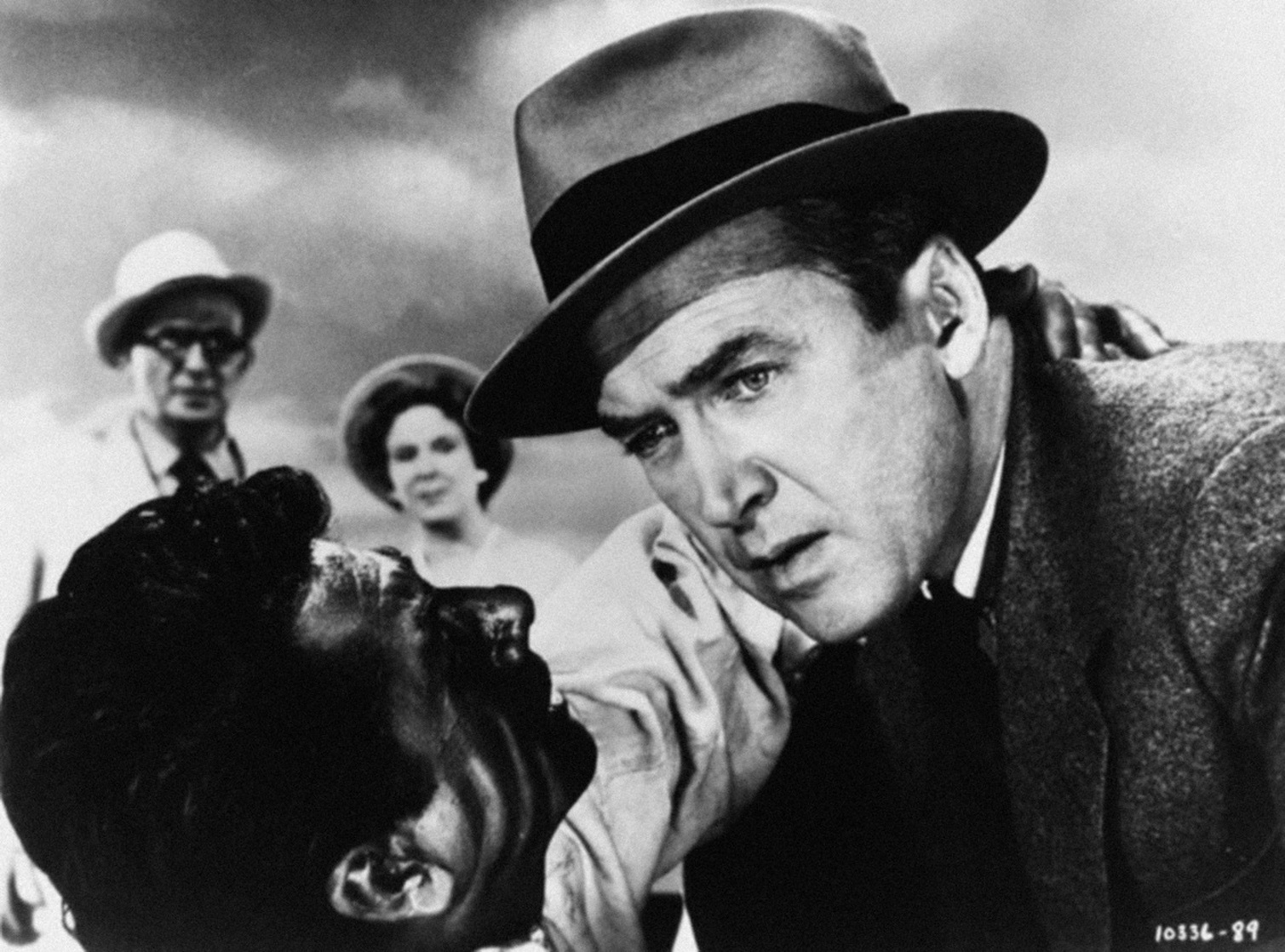 The Man Who Knew Too Much The Man Who Knew Too Much