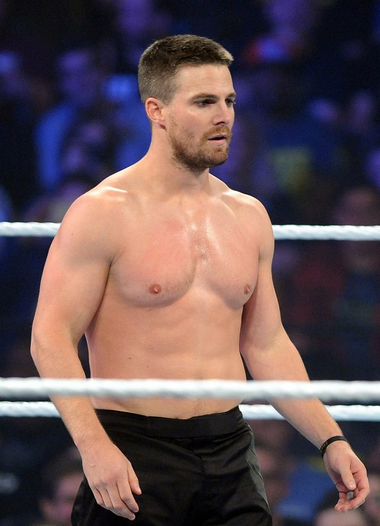 Picture Of Stephen Amell   740full Stephen Amell 