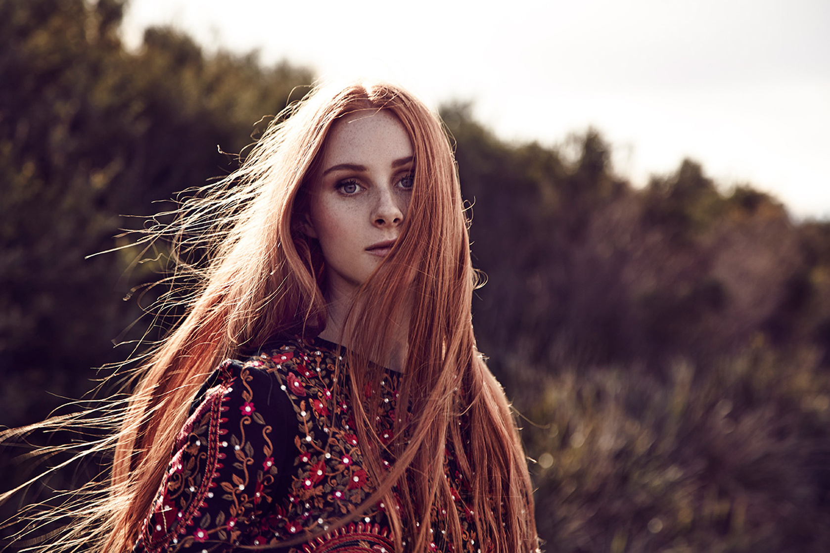 Celia Pavey Celia Pavey