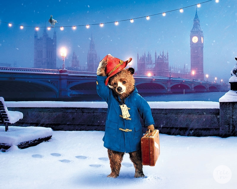Paddington Bear Paddington Bear