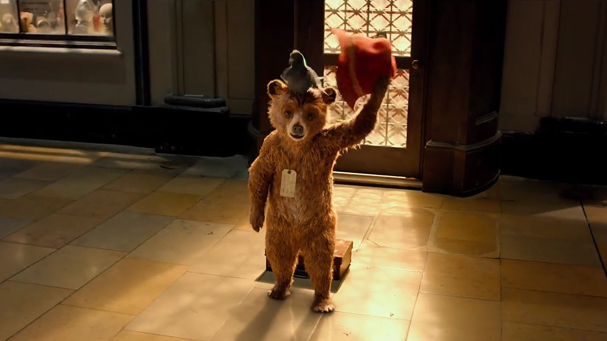 Paddington Bear