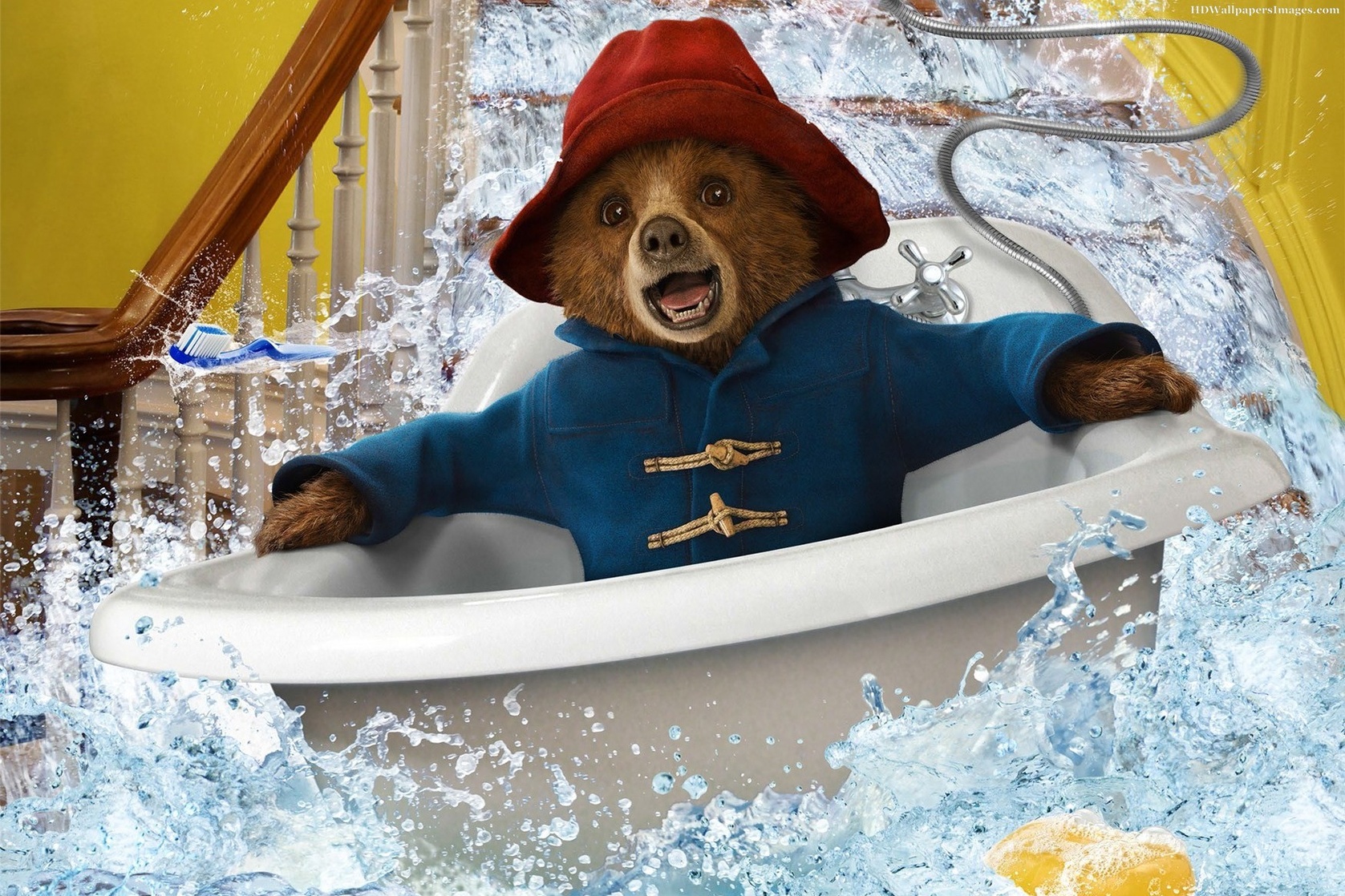 Paddington Bear Paddington Bear