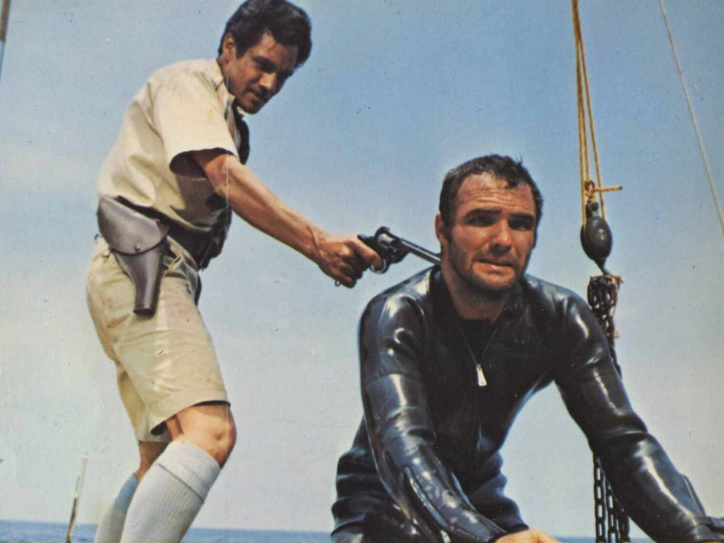 Shark! Shark!