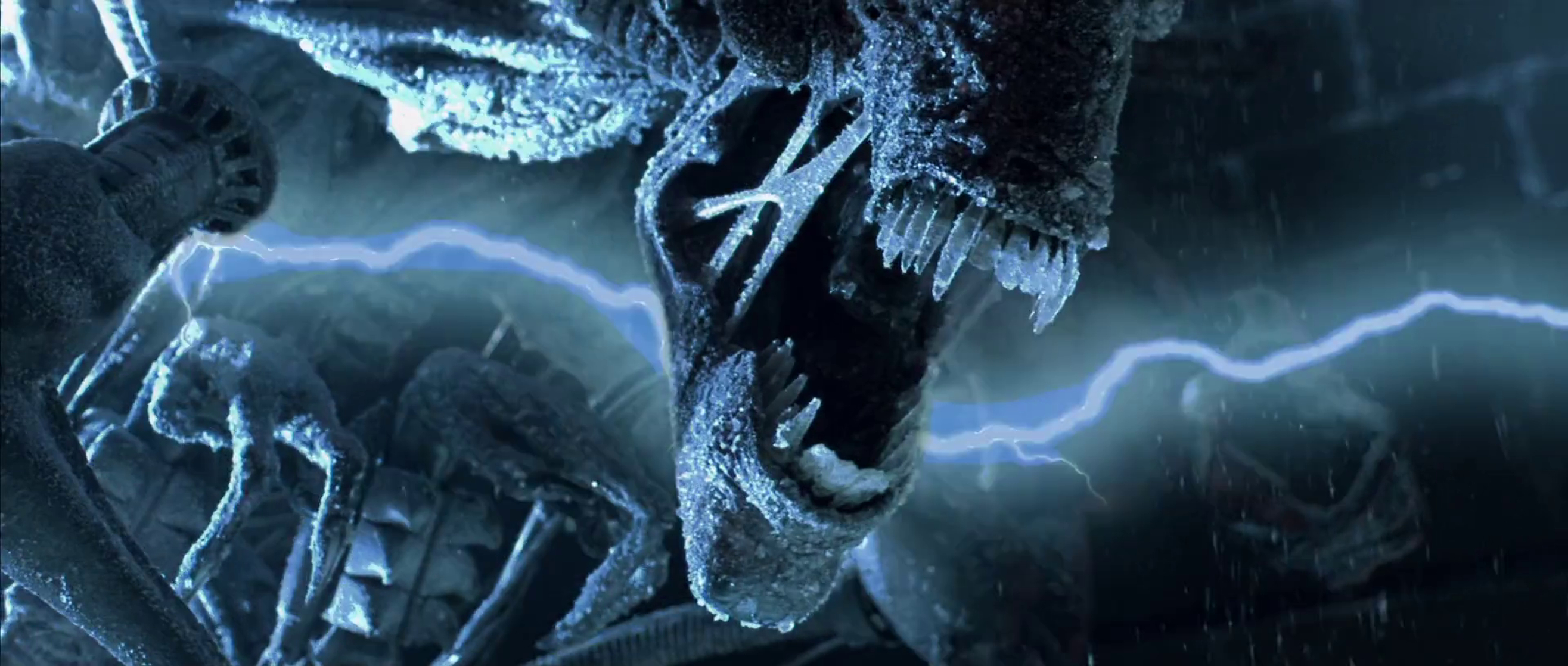 AVP: Alien vs. Predator AVP: Alien vs. Predator
