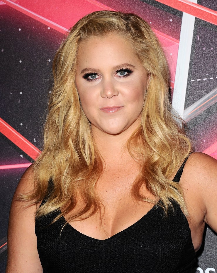 Picture Of Amy Schumer 