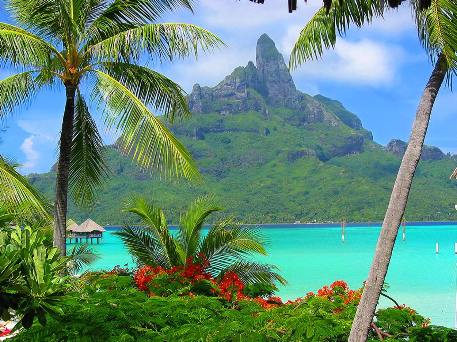 Polynesia