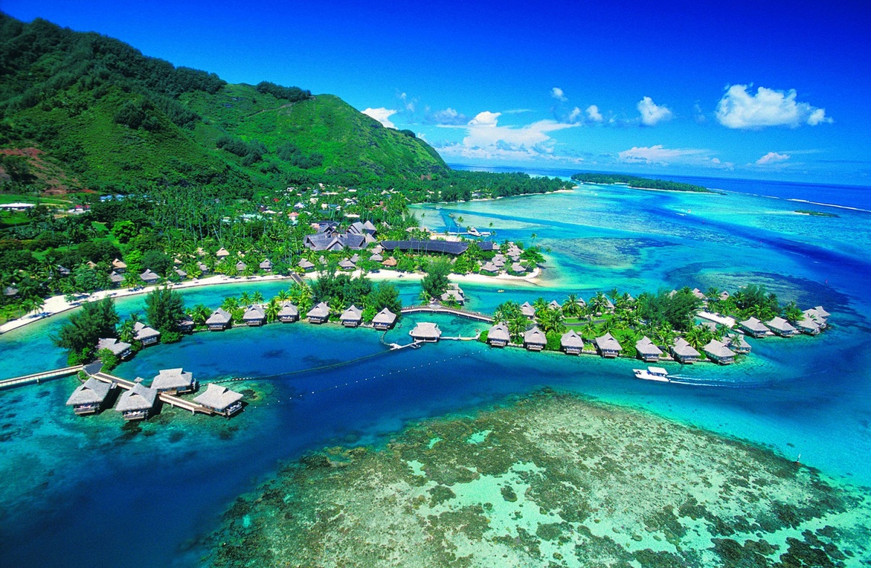 Polynesia