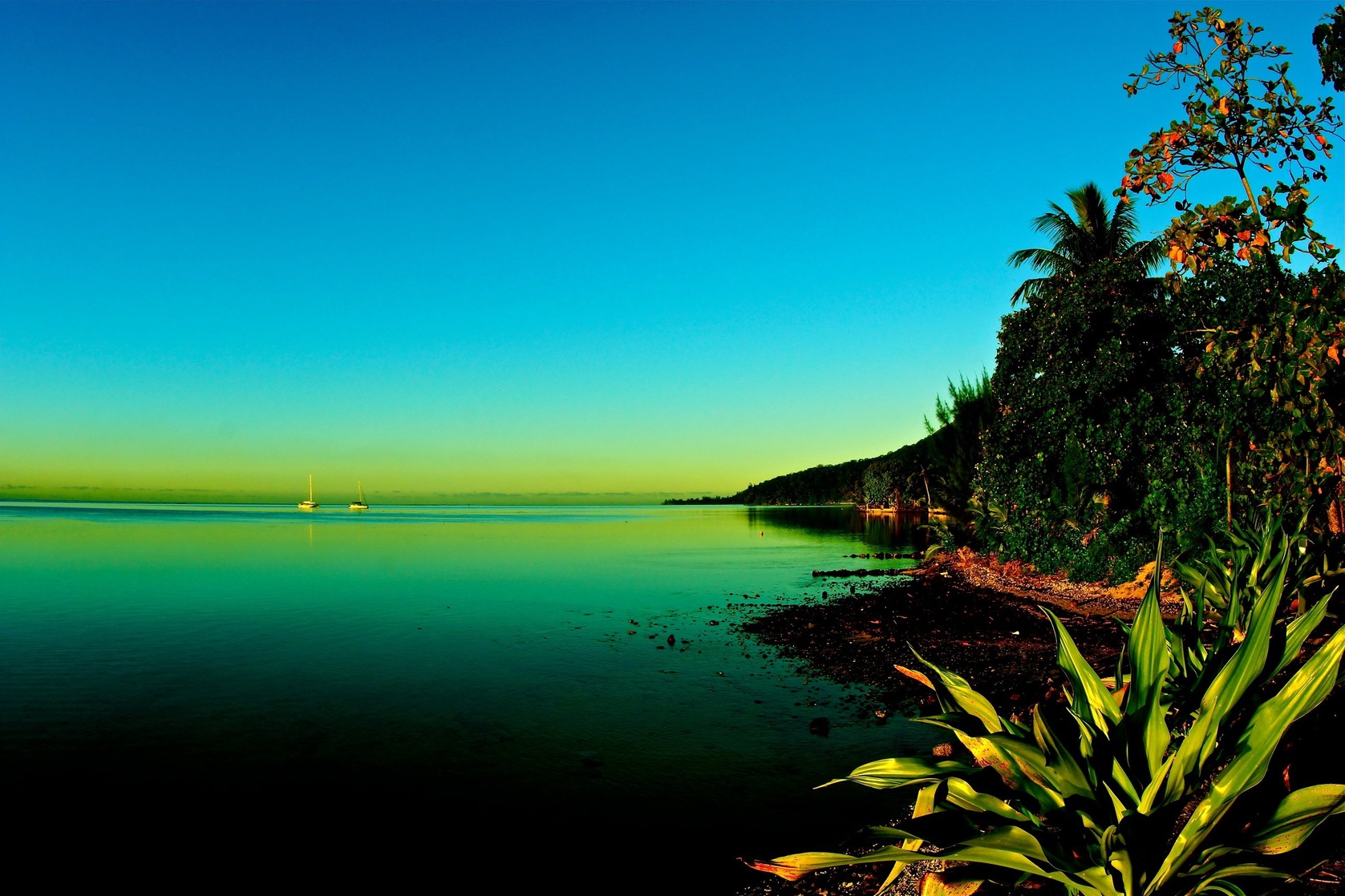 Polynesia