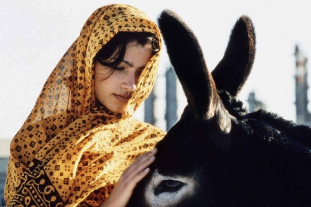 Le bassin de J.W. (1997)