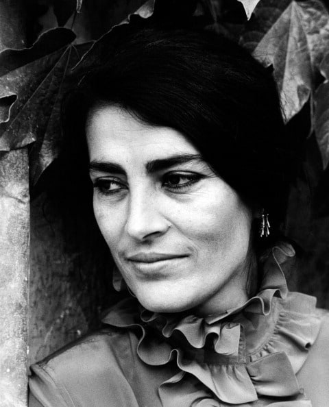 Picture of Irene Papas