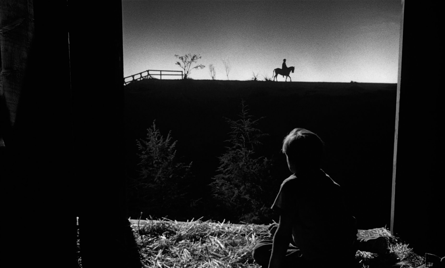 The Night of the Hunter The Night of the Hunter