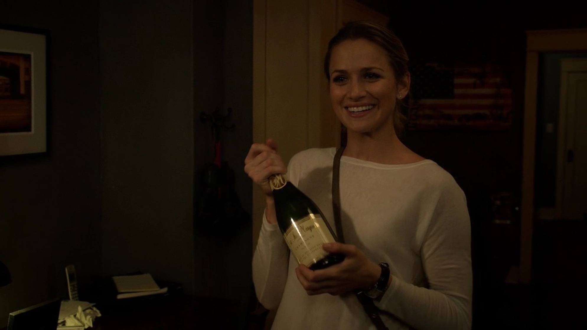 Shantel VanSanten