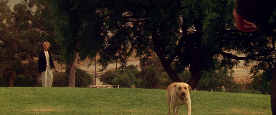 City of Angels