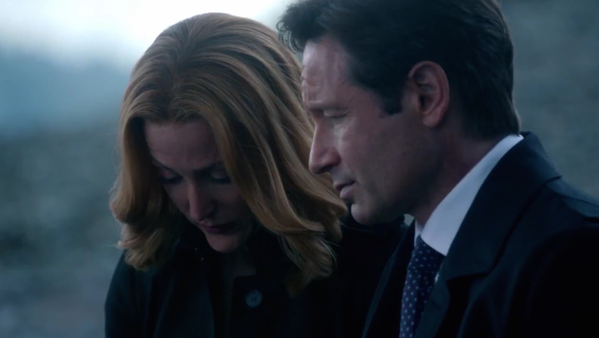 The X Files
