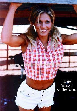 Picture of Torrie Wilson