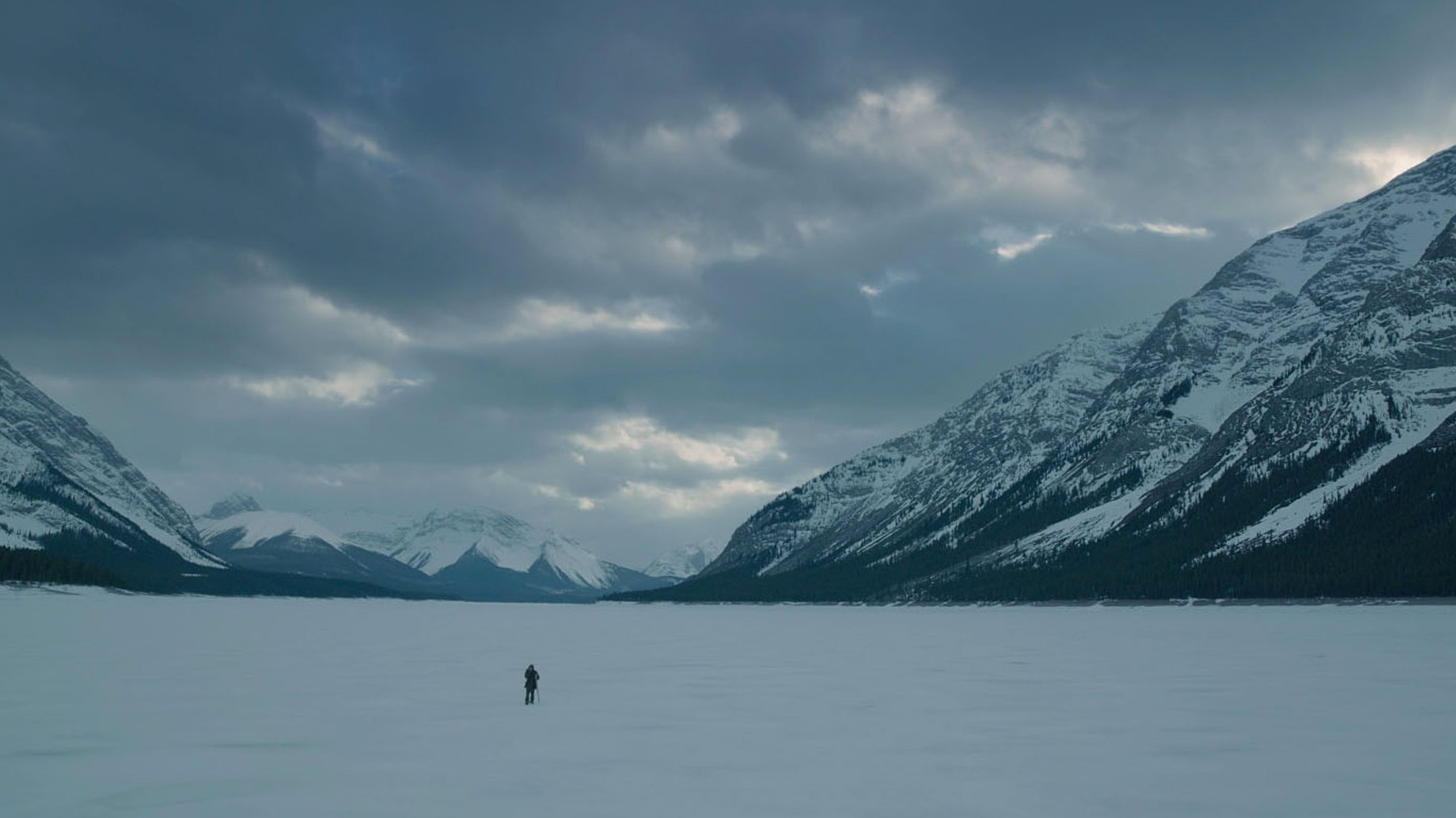 The Revenant The Revenant