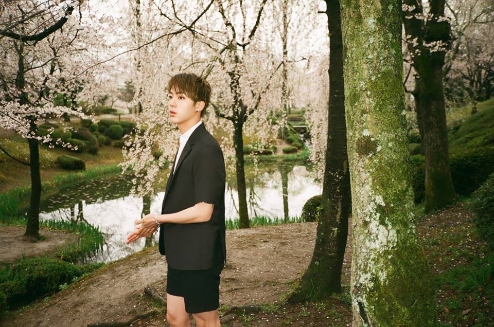 Jin (Kim Seok Jin)
