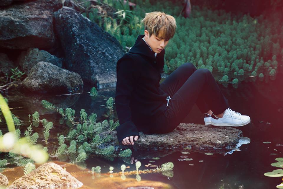 Jin (Kim Seok Jin)
