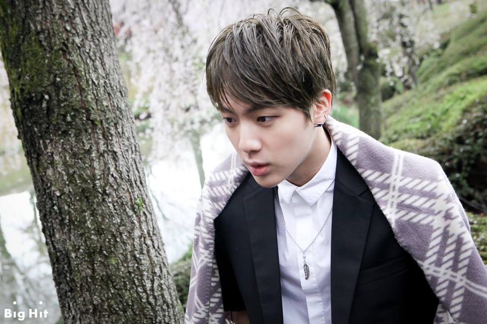 Jin (Kim Seok Jin)