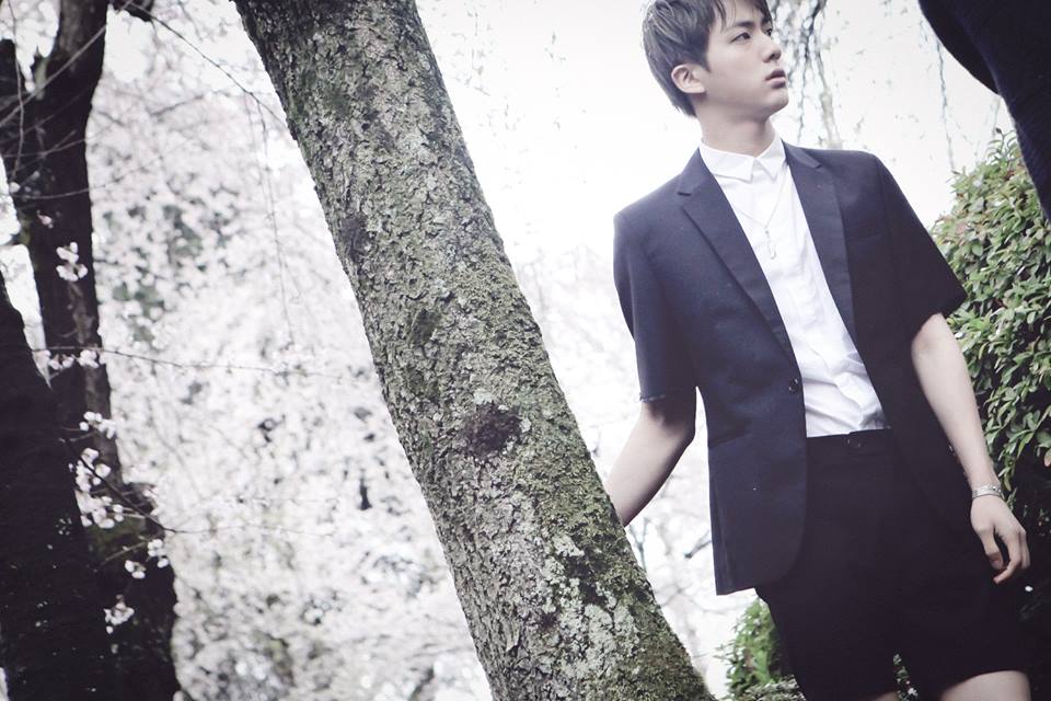 Jin (Kim Seok Jin)
