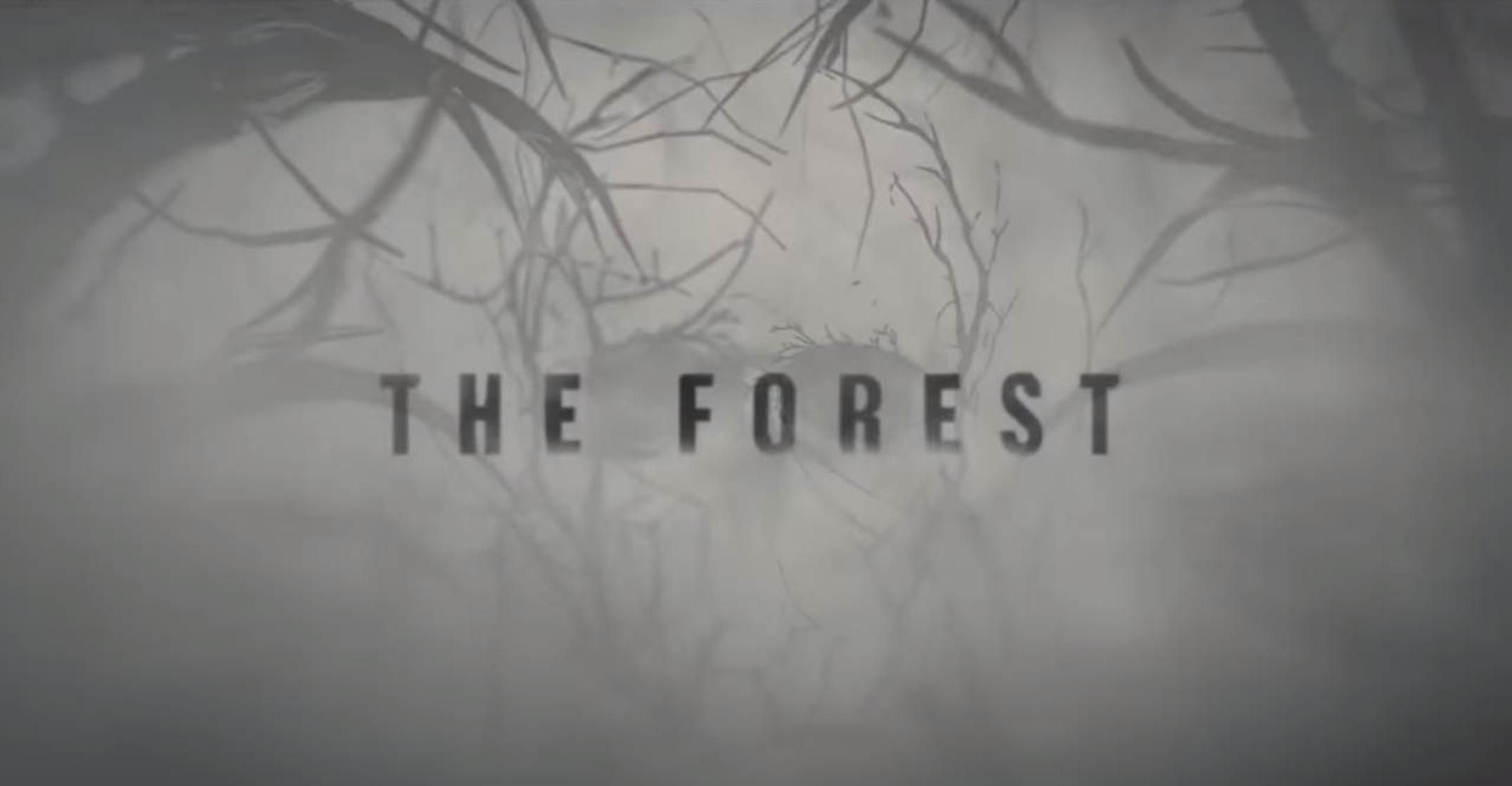 The Forest