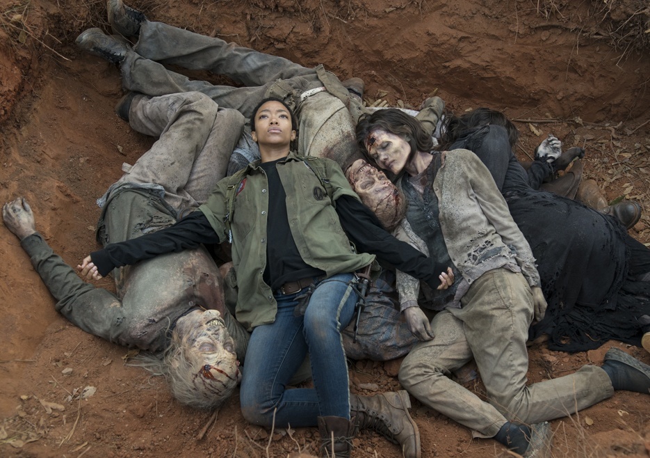 The Walking Dead The Walking Dead
