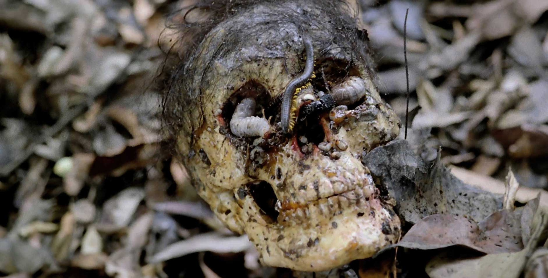 Cannibal Holocaust (1980)