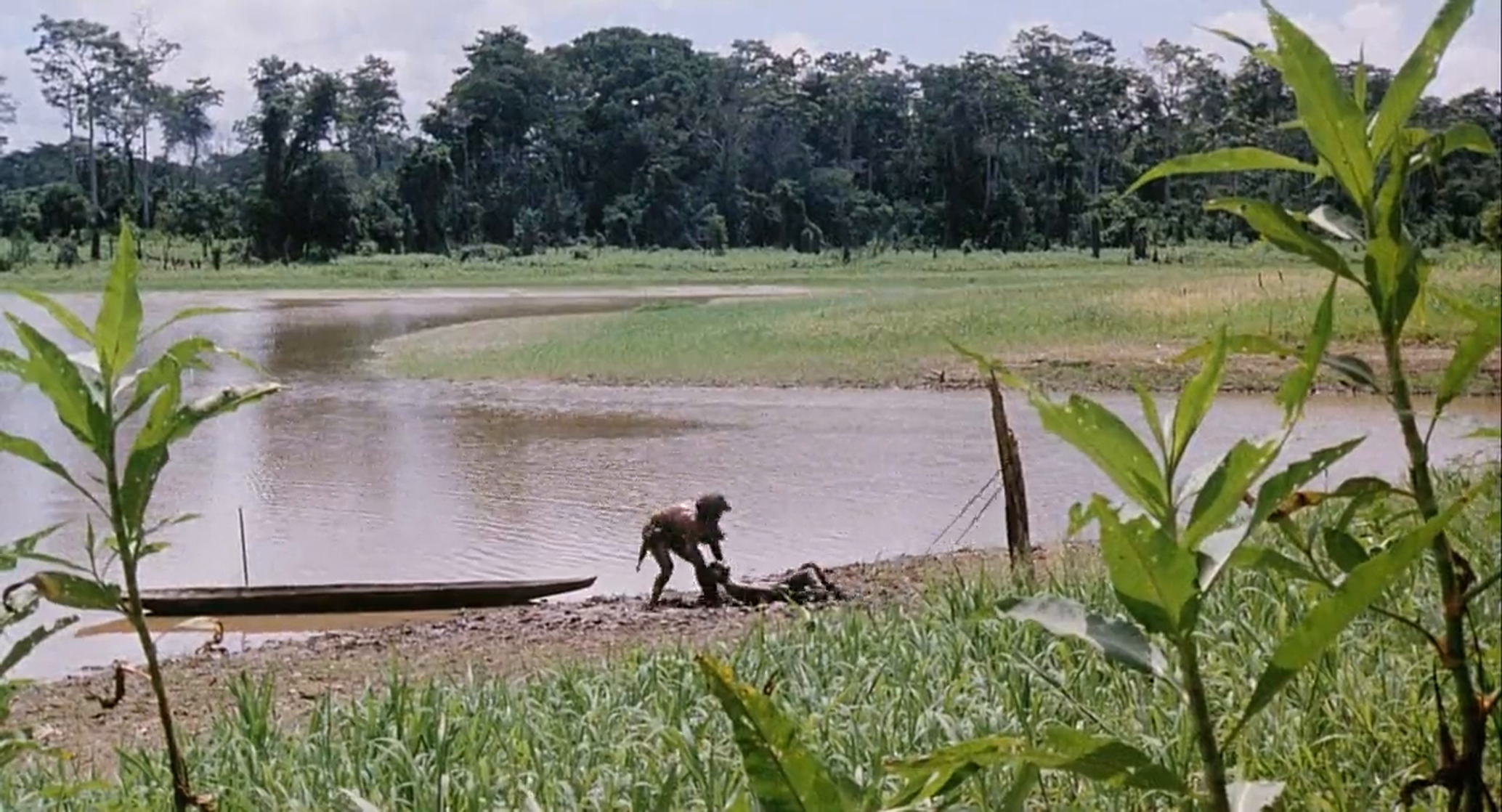 Cannibal Holocaust 